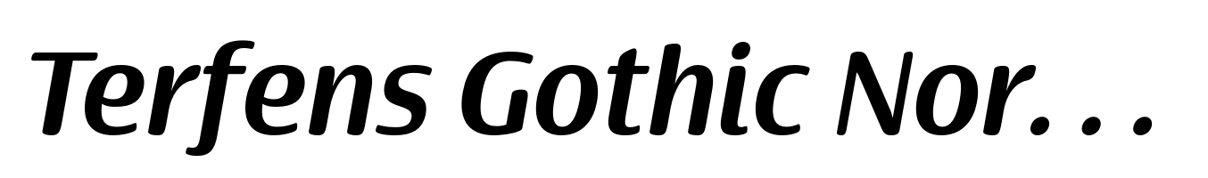 Terfens Gothic Norm Bold Italic